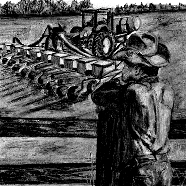 Georgia agriculture comes to life through GFB Art Contest